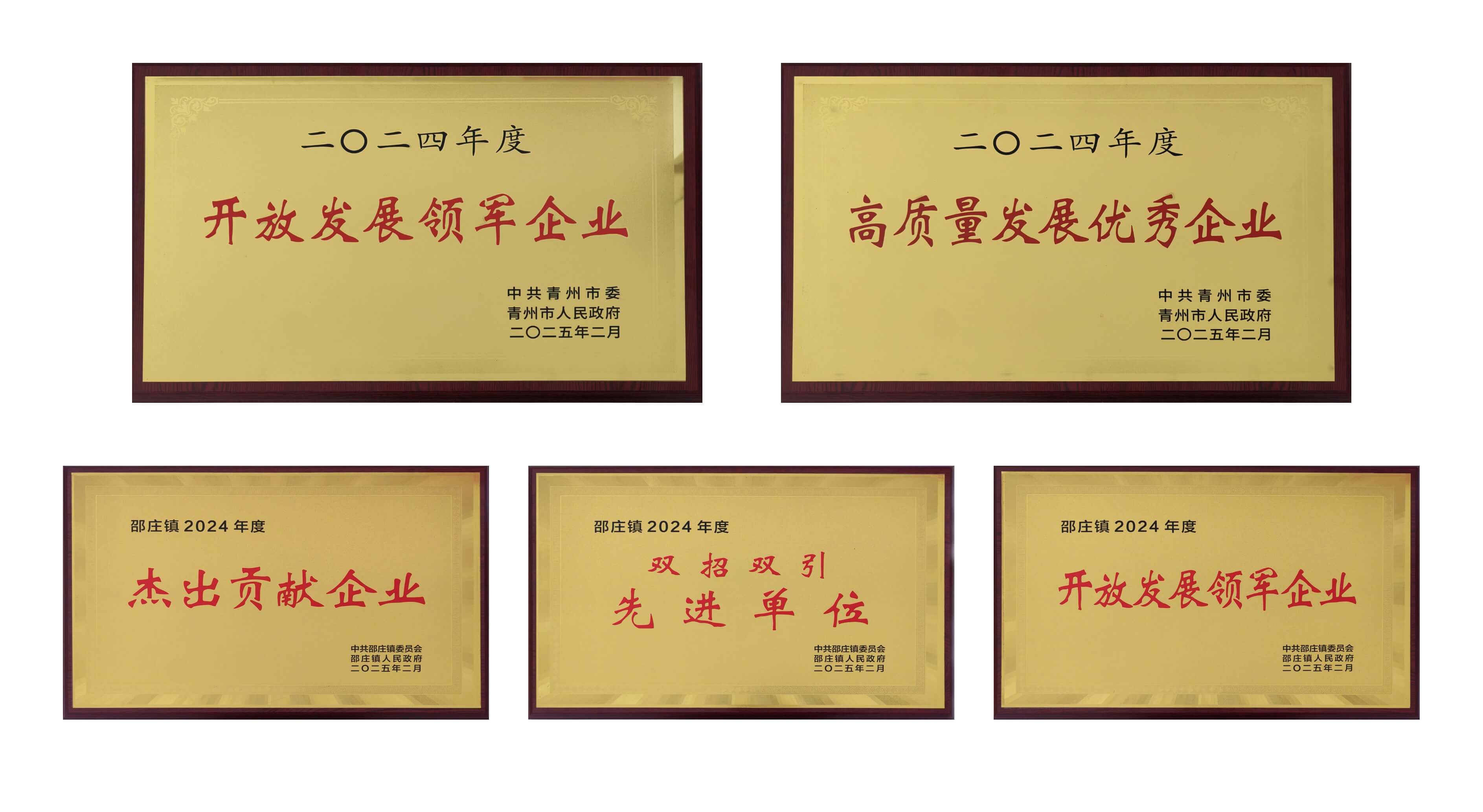 山东XCsports医疗荣获多项殊荣